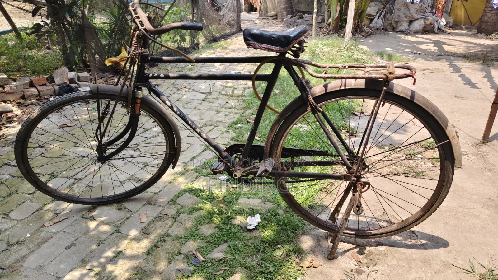 Phoenix Cycle