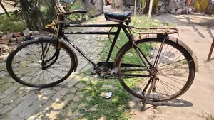 Phoenix Cycle