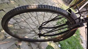 Phoenix Cycle