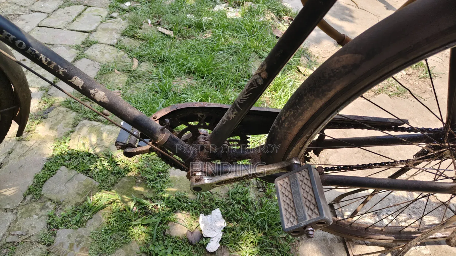 Phoenix Cycle
