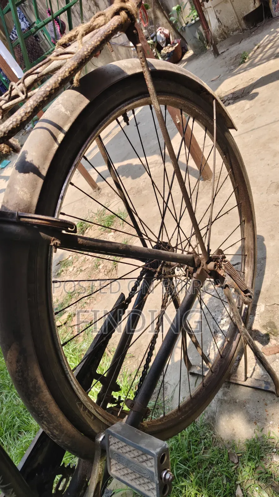 Phoenix Cycle