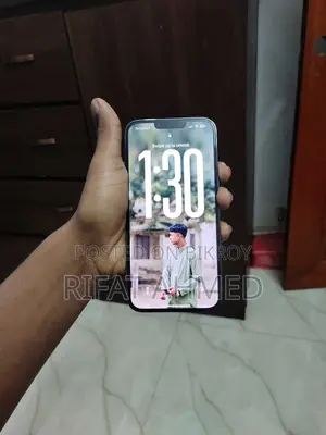 Apple iPhone 13 Pro Max (Used)