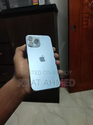 Apple iPhone 13 Pro Max (Used)