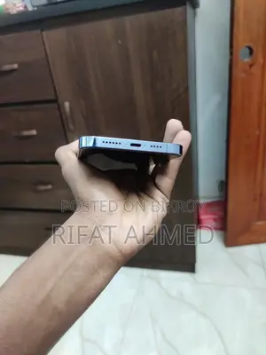 Apple iPhone 13 Pro Max (Used)