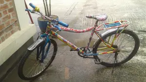সাইকেলে কোনো সমস্যা নাই দেখে নিবেন