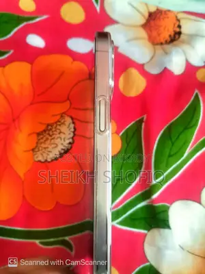 Apple iPhone 12 Pro Max (ব্যবহৃত)