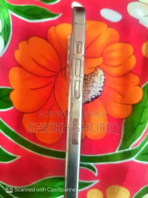 Apple iPhone 12 Pro Max (ব্যবহৃত)