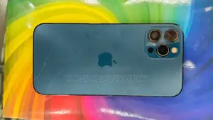 Apple iPhone 12 Pro Max (Used)