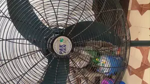 Pakistani Storm Fan