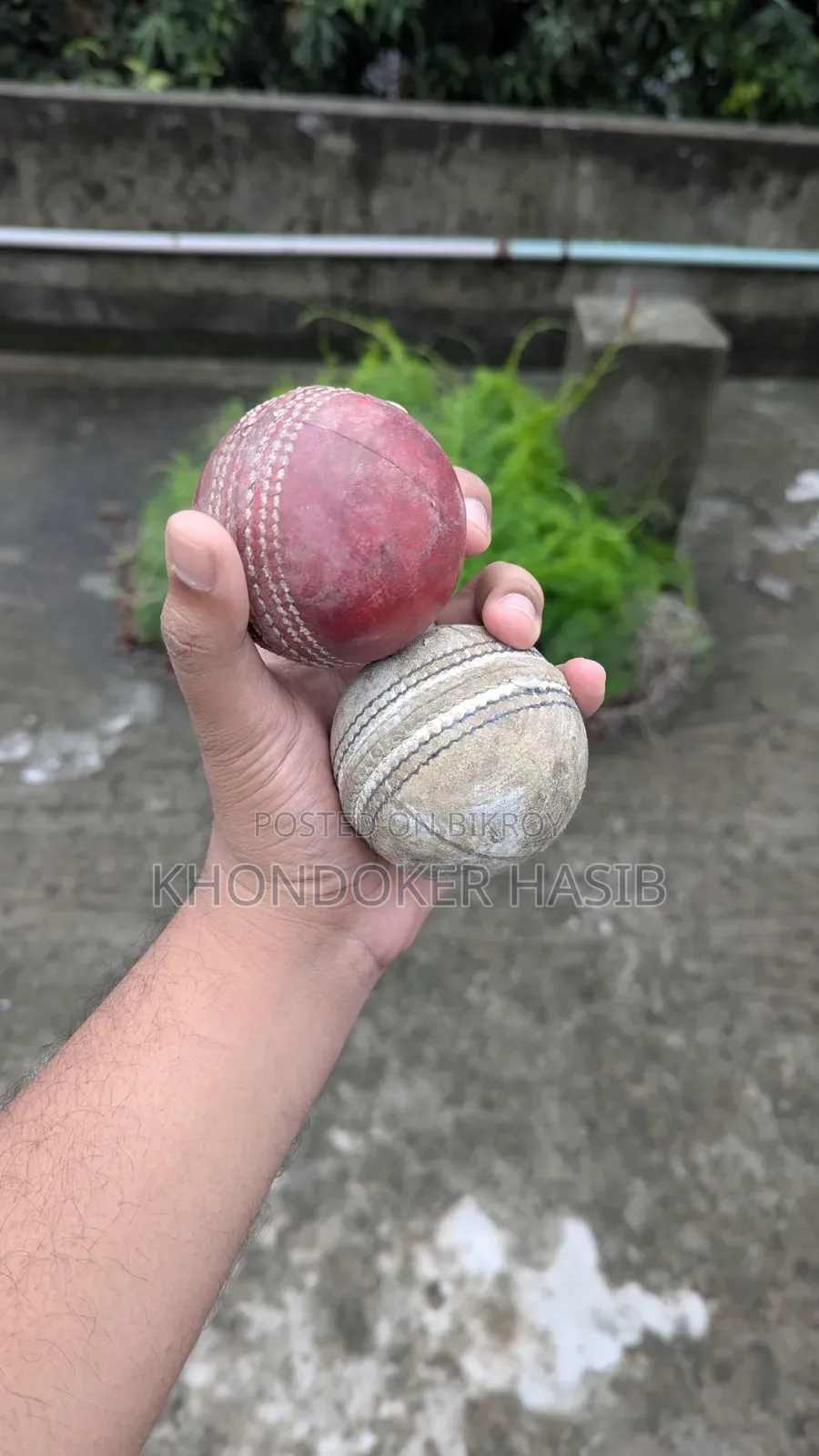 Cricket Instrument