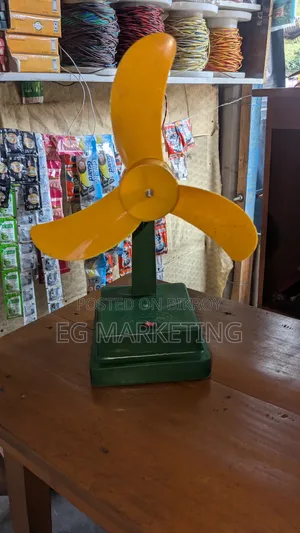 Customized Fan