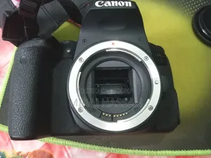 Canon 800d 55-250mm Is Zoom Lens