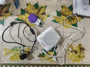 Brand New Portable Microphone