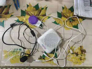 Brand New Portable Microphone