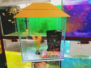 অ্যাকোয়ারিয়াম সেট আপ