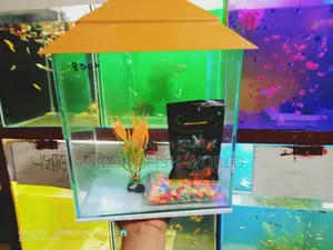 অ্যাকোয়ারিয়াম সেট আপ