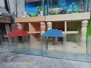 অ্যাকোয়ারিয়াম সেট আপ