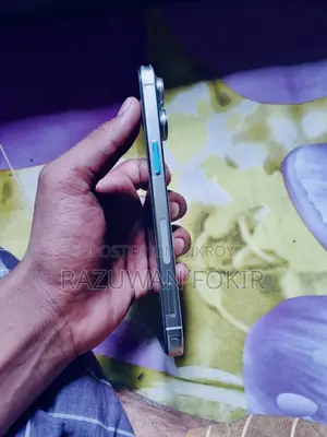 Apple iPhone 15 Pro Max 256 GB Silver