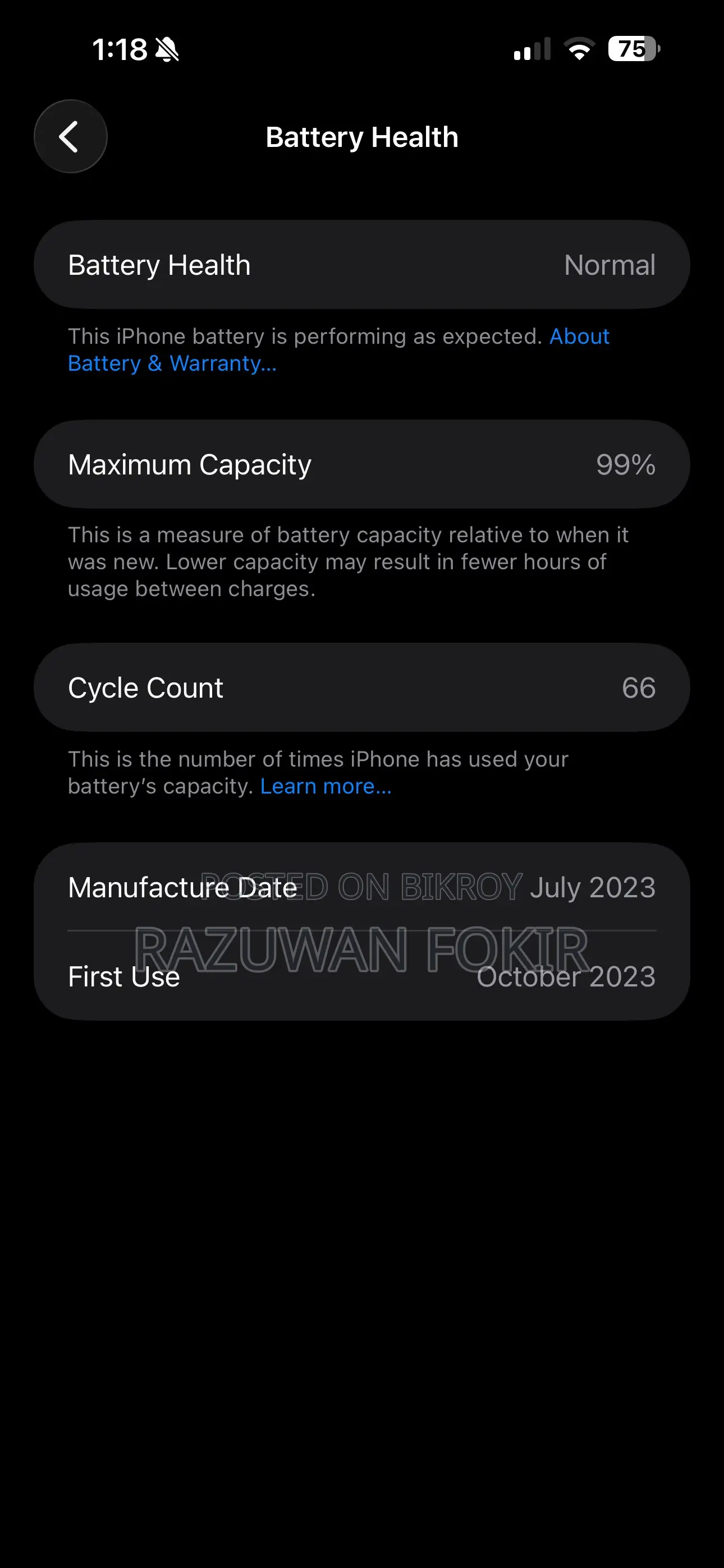 Apple iPhone 15 Pro Max 256 GB Silver