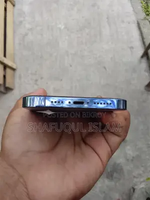 Apple iPhone 13 Pro Max (Used)