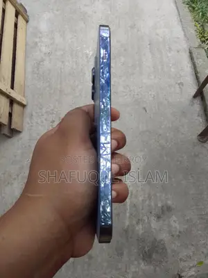 Apple iPhone 13 Pro Max (Used)