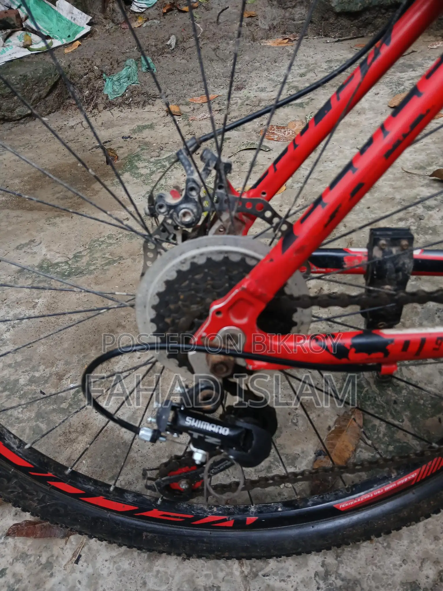 Veloce 6.2