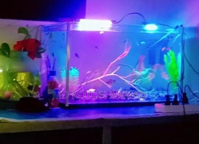 একুরিয়াম
