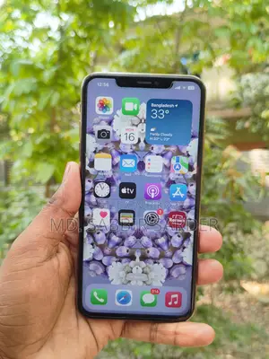 Apple iPhone XS Max 256GB for exchange (Used)