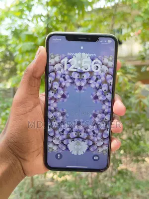 Apple iPhone XS Max 256GB for exchange (Used)