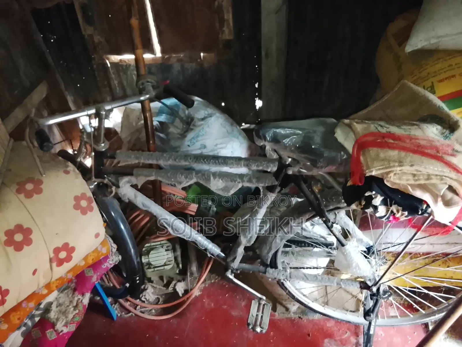 নতুন ফিনিক্স সাইকেল