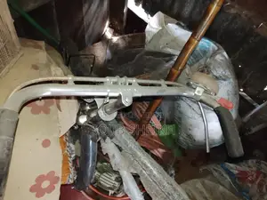 নতুন ফিনিক্স সাইকেল