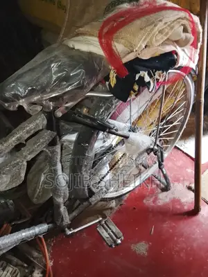 নতুন ফিনিক্স সাইকেল