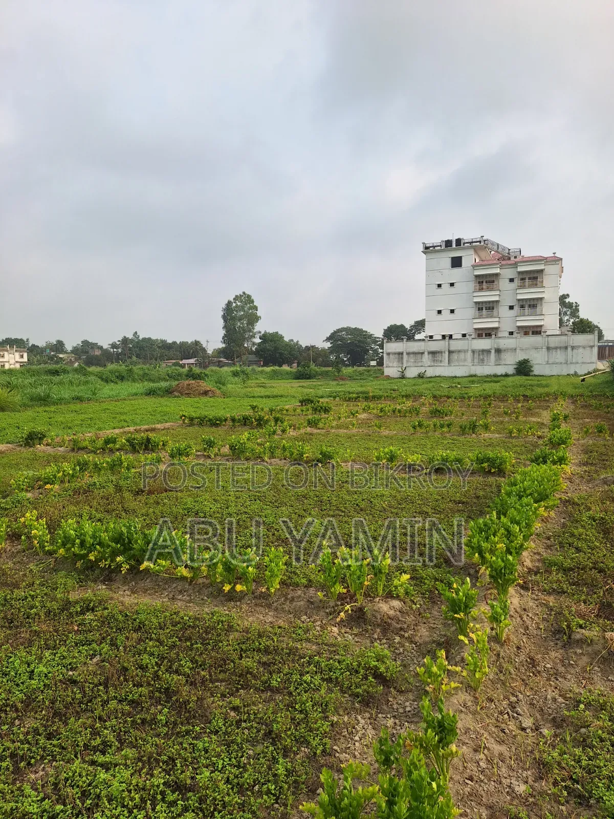 Own a small piece of land near Dhaka at a low price!