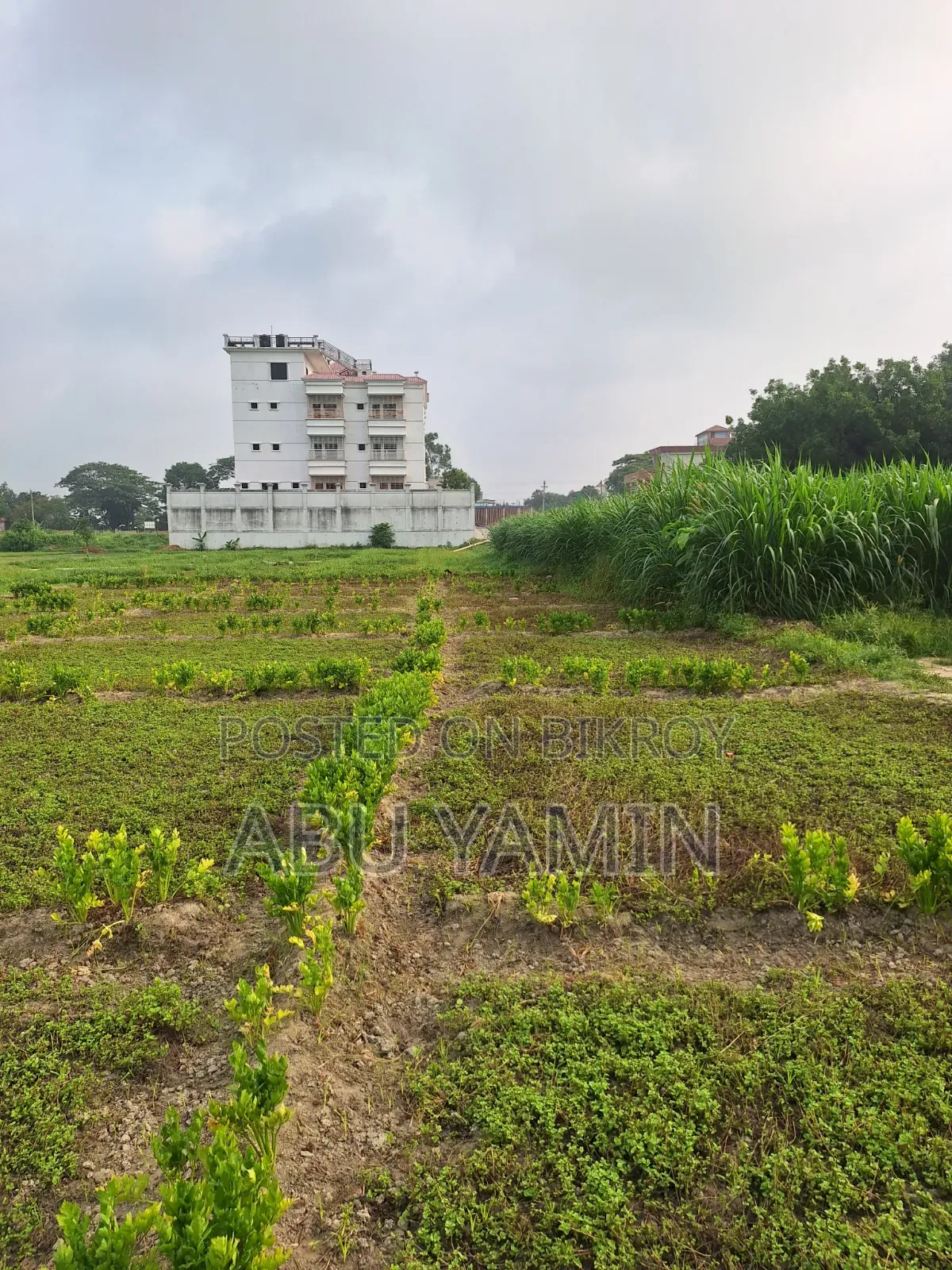 Own a small piece of land near Dhaka at a low price!