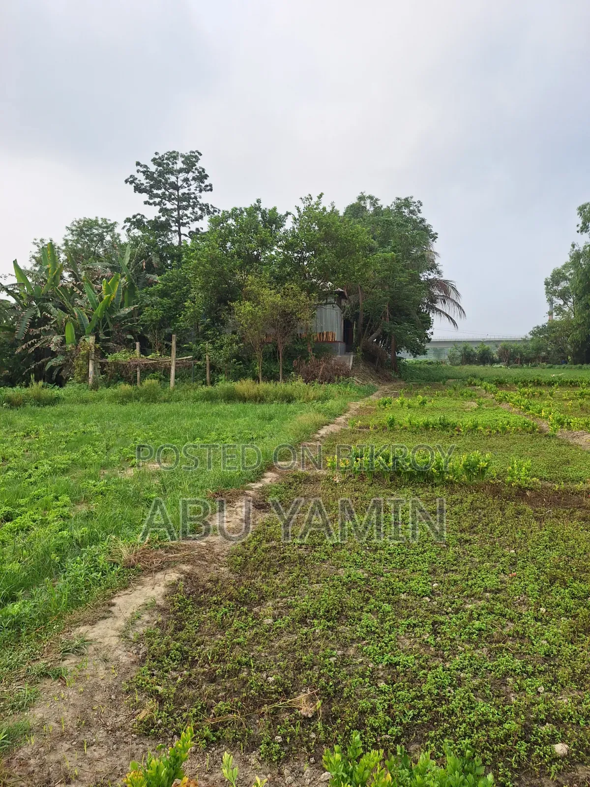 Own a small piece of land near Dhaka at a low price!
