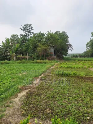 Own a small piece of land near Dhaka at a low price!