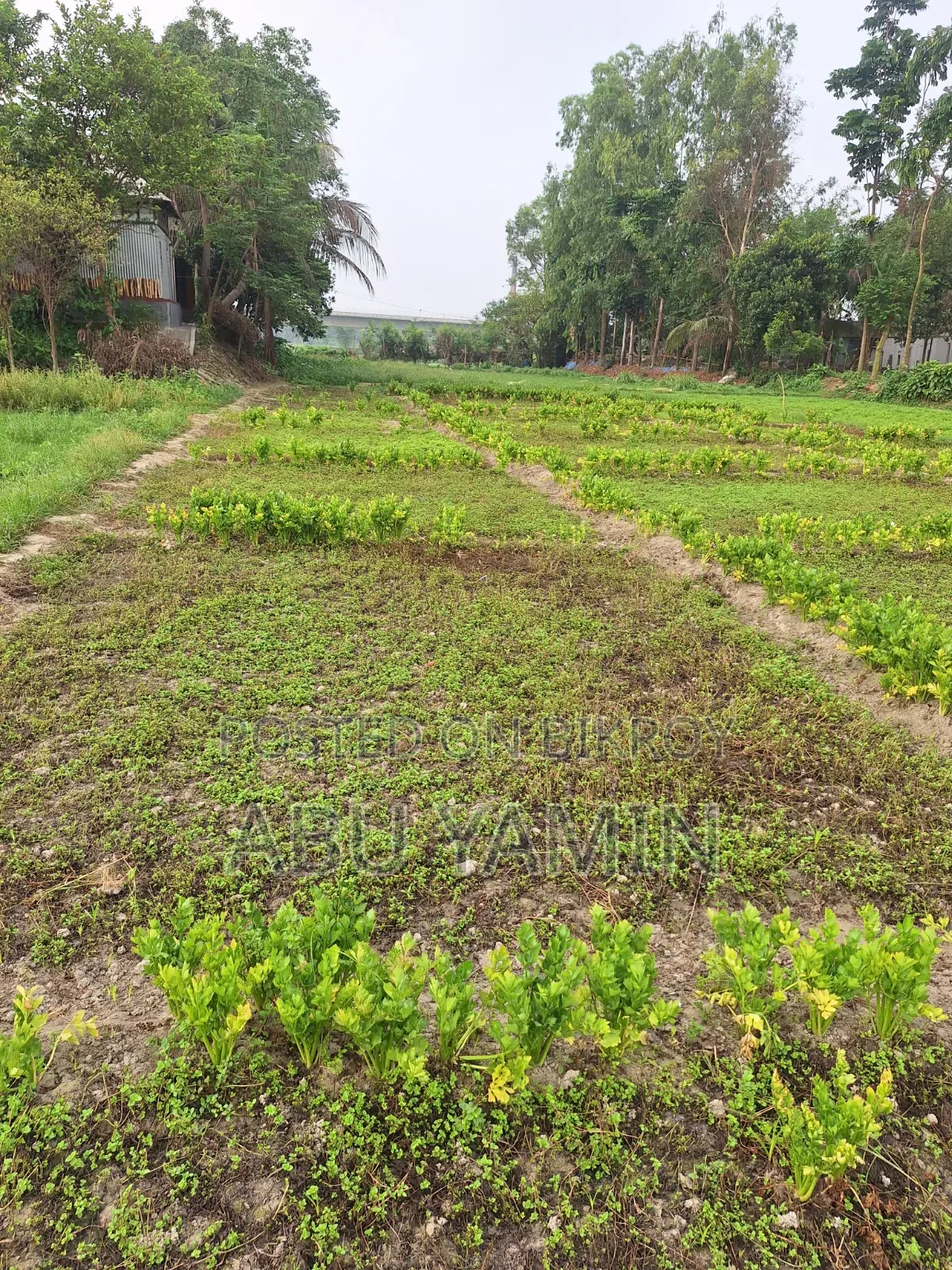 Own a small piece of land near Dhaka at a low price!