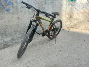 ফিনিক্স গিয়ার সাইকেল (স্মুথ)