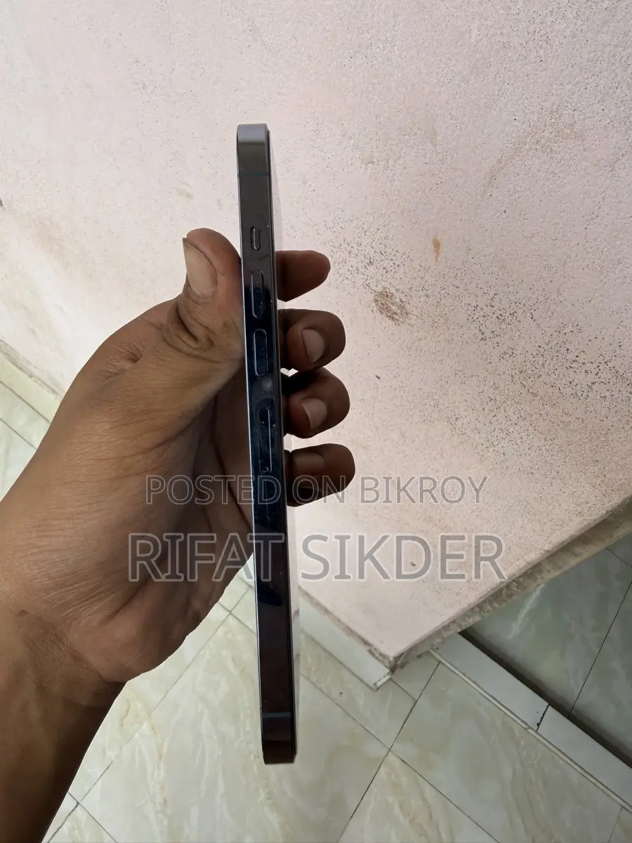 Apple iPhone 13 Pro Max (Used)