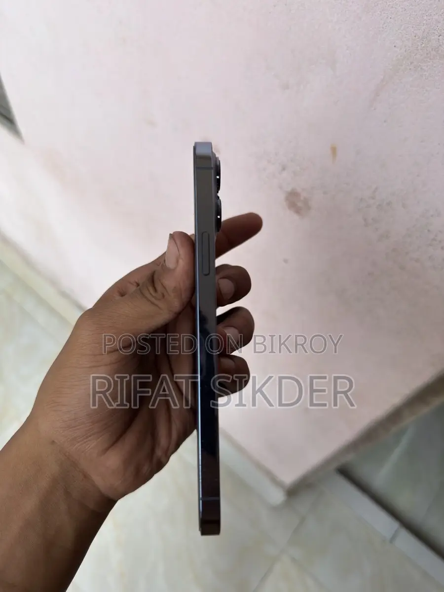 Apple iPhone 13 Pro Max (Used)