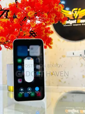Apple iPhone 11 2021 (Used)