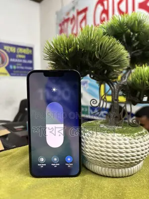 Apple iPhone 13 Pro . (Used)