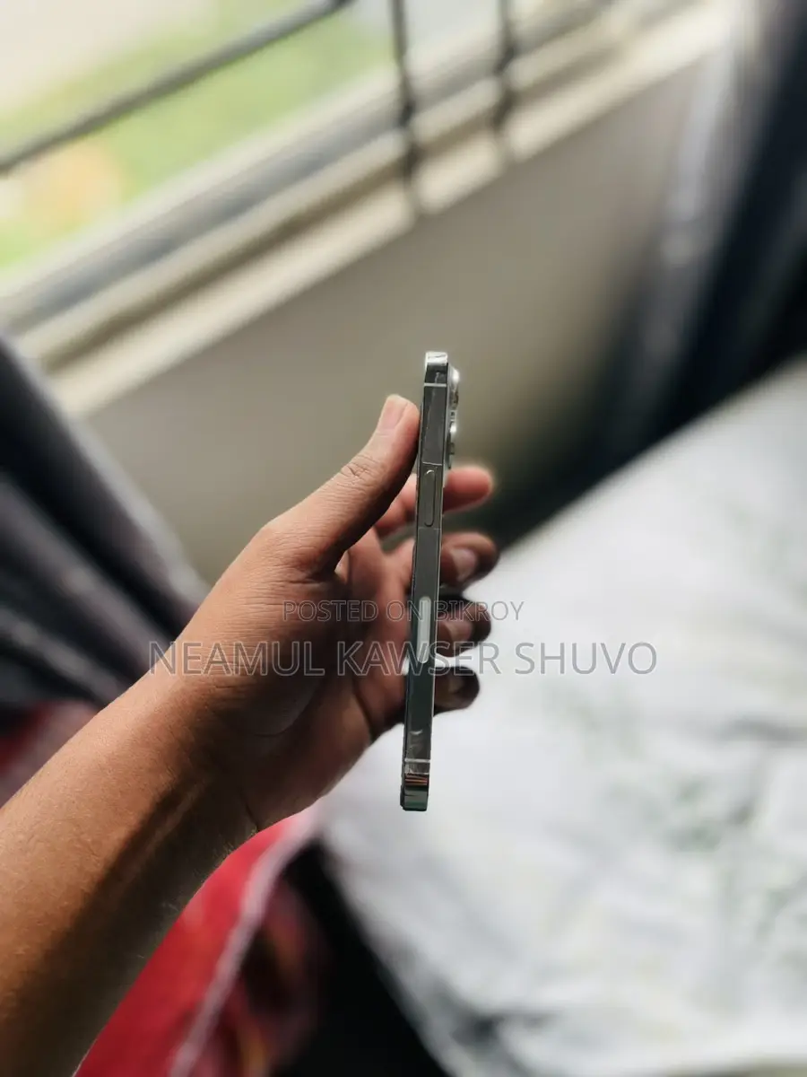 অ্যাপল আইফোন ১৩ প্রো ২৫৬ জিবি (ব্যবহৃত)