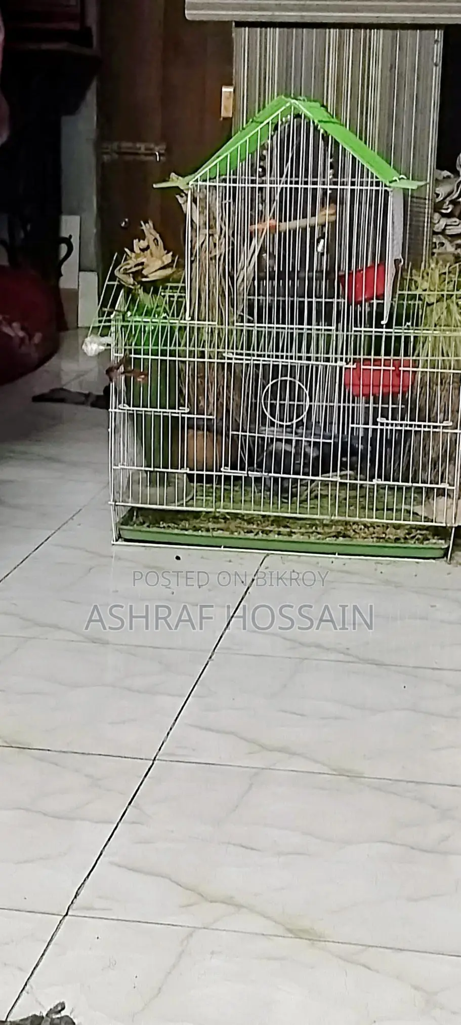 পাখির খাঁচা বিক্রি