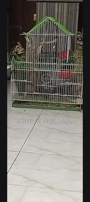 পাখির খাঁচা বিক্রি