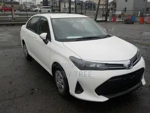 Toyota Axio Ex 2024