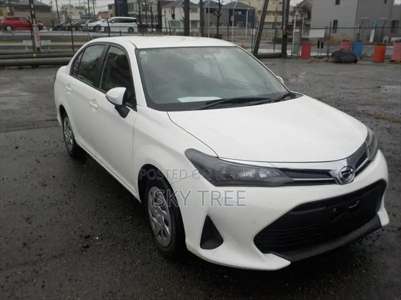 Toyota Axio Ex 2024