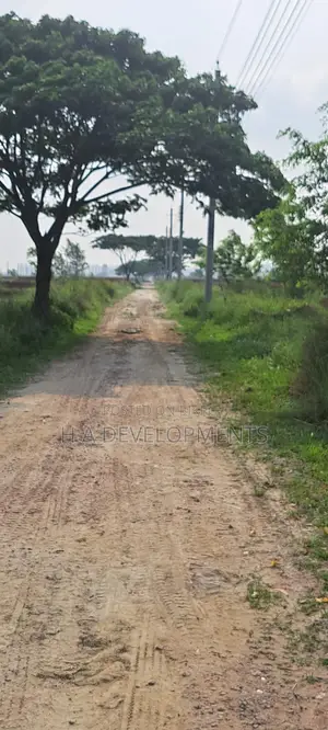 বসুন্ধরায় M-ব্লকে, বাজার মূল্য থেকে কমে ৪ কাঠার প্লট বিক্রয়