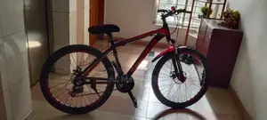 মাউন্টেন বাইক