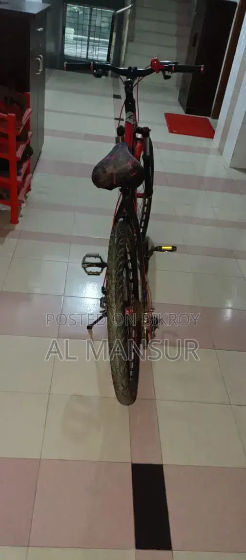 মাউন্টেন বাইক